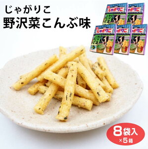 カルビー 長野 信州 限定 じゃがりこ野沢菜昆布味 8袋×5個 じゃがりこ ご当地 限定 お土産 おみやげ のざわな 野沢菜 昆布 お茶菓子 おやつ