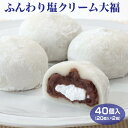 【クリーム大福】【冷凍 クリーム大福】【クリーム大福 冷凍】個包装 ふんわり塩クリーム大福 40個セット 冷凍 大福 送料無料 塩大福 和スイーツ 和菓子 お茶菓子 家族団らん おやつ 個包装 巣ごもり需要 簡易パッケージ プレゼント ギフト 贈り物