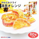 南信州菓子工房 やわらかドライ 清見オレンジ60g×2袋 ドライフルーツ オレンジ 長野 お土産 おみやげ 【ゆうパケット】