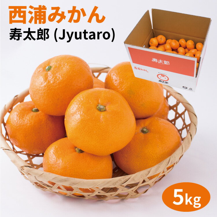 【2月～発送】寿太郎みかん 5kg S～Mサイズ【送料無料】【99】