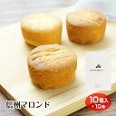 【小布施 お菓子】【信州 お土産】【栗菓子】【栗 スイーツ】信州マロンド 10個入 ×10 信州 小布施栗 の栗みつとショコラを使ったサクッザクッ食感のガレット...