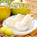 愛情宣言「旬」直送便!\9月上旬より順次発送予定!/南信州産 二十世紀梨 5Kg 梨 和梨 果物 ギフト フルーツ 数量限定 長野県産 信州 産地直送 青果【99】
