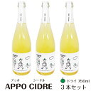 商品名APPOシードルドライ　750ml×3本セット名称果実酒原材料名りんご(飯田市産)、酸化防止剤(亜硫酸塩)内容量750ml×3本温度帯常温のし・包装対応対応不可パッケージ形態瓶その他アルコール分 6％製造者（株）マツザワ りんご並木醸造所