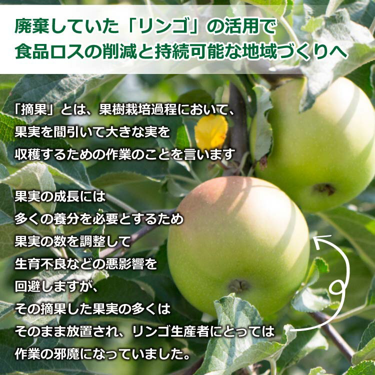 ��Ŧ�̤�󤴡ۡڥɥ饤�ե롼�ġۤ���䤫�Ĥ�� 30g ��� ��� �ɥ饤��� ���� ��ʬ�� ����� �ֿ� Ĺ��� Ŧ�̤��