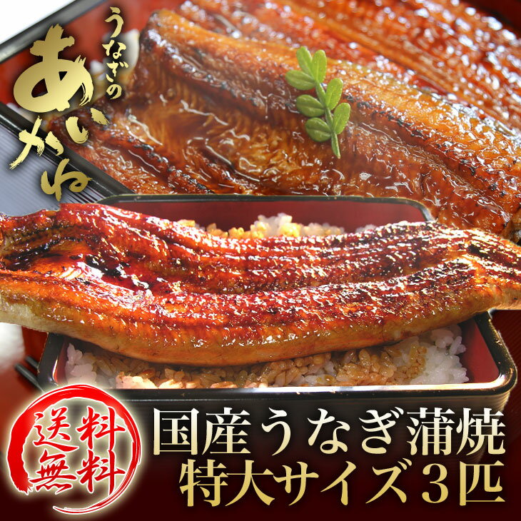 浜名湖うなぎのあいかねうなぎ蒲焼特大サイズ3匹セット脂ノリノリ！（160g前後）（離島、沖縄、北海道は追加送料がか…