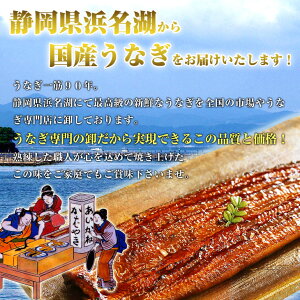 【送料無料】国産刻みうなぎ蒲焼き 5袋セット タイムセール！　タレ・山椒付 浜名湖うなぎのあいかね　ひつまぶし・うなぎ茶漬けにも！（離島、沖縄、北海道は追加送料がかかります）