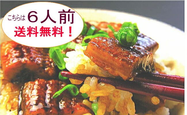 浜名湖うなぎのあいかね本日『うなぎ茶漬け』の日ひつまぶし&うなぎ茶漬け(うなぎ70gと薬味のセット)6人前 送料無料!532P16Jul16