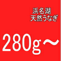 「浜名湖うなぎのあいかね」希少価値！浜名湖天然うなぎ1匹280g〜極上もの!!タイムセールです！