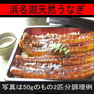 【_3/4】浜名湖うなぎのあいかね浜名湖天然うなぎ1k（大きさ不ぞろい）セール品につき大袋でお届け冷凍便にて発送