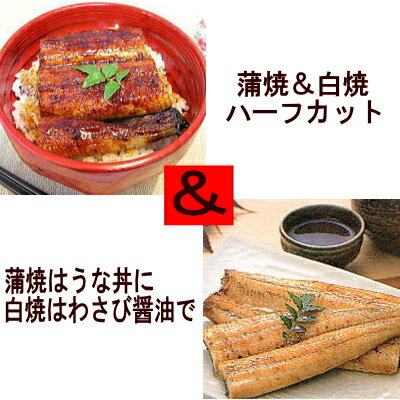 浜名湖うなぎのあいかね国産うなぎ白焼ハーフ60g＆国産うなぎ蒲焼ハーフ60g正味うなぎ1匹分です！