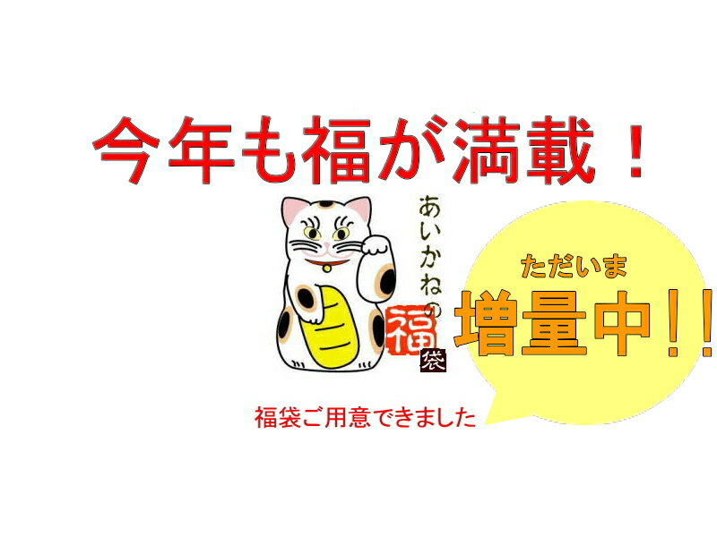 うなぎ 国産 福袋 送料無料 グルメ ウナギ 国産 海鮮 贈