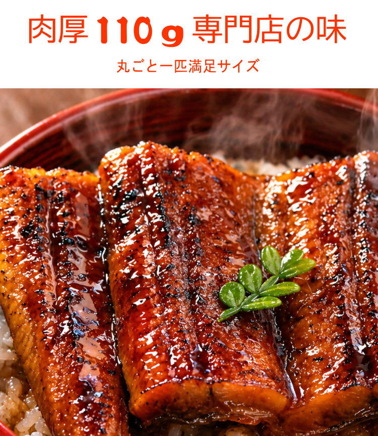Rakuten - 浜名湖うなぎのあいかね国産うなぎ長蒲焼まとめてどどーんと10匹!!一匹丸ごと満足サイズ湯煎で3分専門店の味！（焼き上がり110g前後）化粧箱入り・たれ山椒付き（離島、沖縄、北海道は追加送料がかかります）