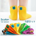 靴下 ショートソックス 子供用 キッズ ベビー 5足セット 5色 薄手 クマ ベア ワンポイント バック刺繍 メッシュ カラフル かわいい 女の子 男