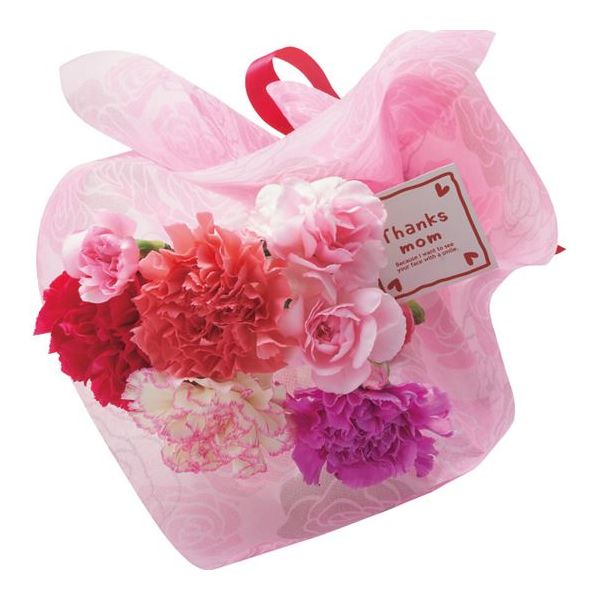 【母の日 プレゼント メーカー直送 送料無料 (※生花・クール便の離島への配送不可)】カーネーション花束と黒豆入り黒糖わらび餅のセット 【代引き後払い対応不可品 のし包装メッセージカード対応不可品 お申込日5/4まで】