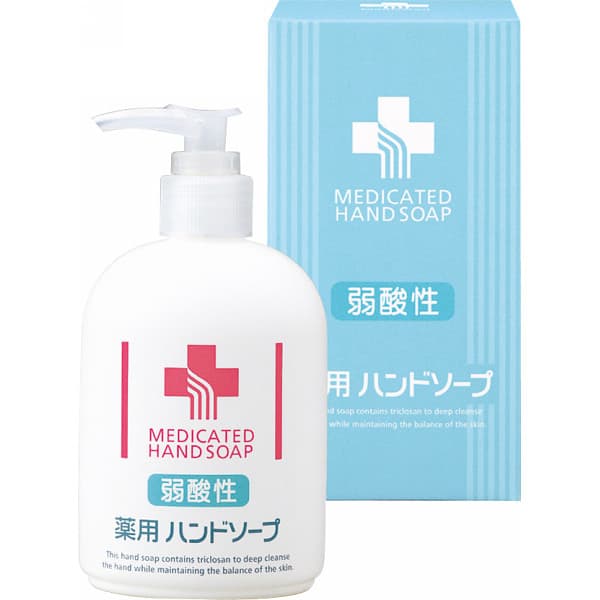 景品 プチギフト 弱酸性 薬用ハンドソープ(250ml) N