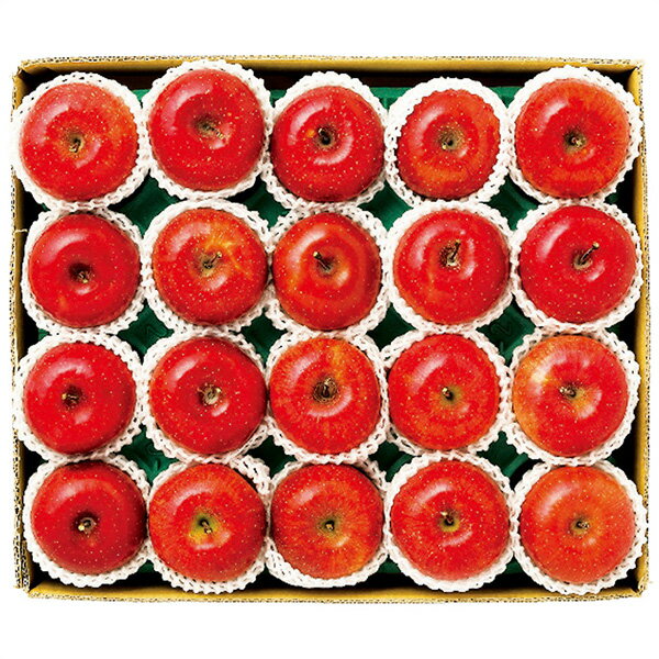 お歳暮 フルーツ 送料無料 メーカー直送 長野県産 信州サンふじ 約4.8kg 代引き後払い対応不可品 御歳..