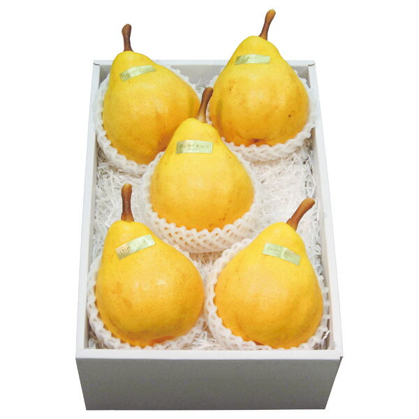 お歳暮 フルーツ 送料無料 メーカー直送 新潟産ルレクチェ 代引き後払い対応不可品 御歳暮 御挨拶 ご挨..