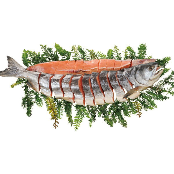 お歳暮 サケ 送料無料 メーカー直送 根室産切り身（山漬け） 鮭輝 代引き後払い対応不可品 御歳暮 御挨拶 ご挨拶 ごあいさつ 御礼 お礼 冬ギフト 冬 ギフト 寒中見舞い お年賀 御年賀