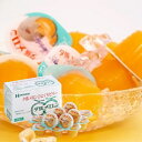 内祝い お祝い ギフト スイーツ【送料無料】 北辰フーズ 夕張メロンひとくちゼリー MM-5B 洋菓子 菓子折り 出産内祝い 結婚内祝い 入学内祝い 香典返し ...