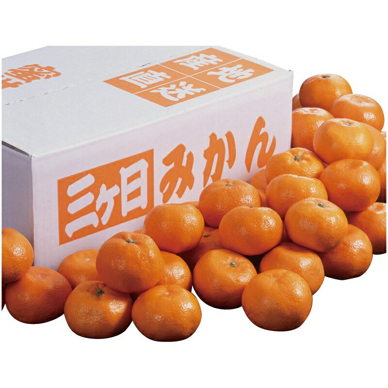 お歳暮 フルーツ 送料無料 メーカー直送 静岡県産 三ケ日みかん YO-430 代引き後払い対応不可品 御歳暮..