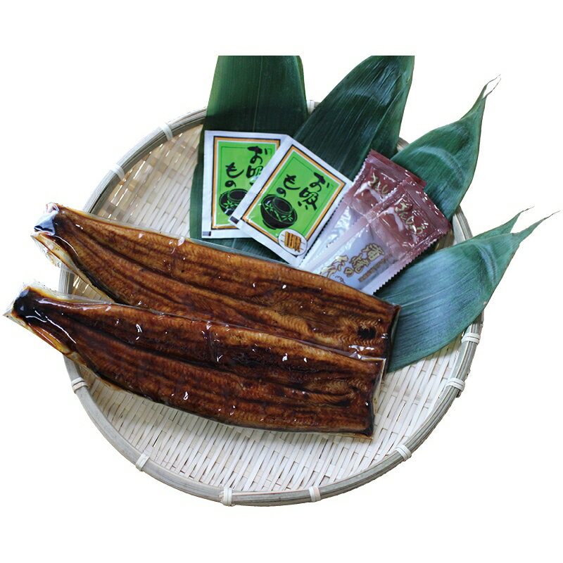 お歳暮 鰻 送料無料 メーカー直送 浜松・浜名湖うなぎ蒲焼長焼 01 代引き後払い対応不可品 御歳暮 御挨拶 ご挨拶 ごあいさつ 御礼 お礼 冬ギフト 冬 ギフト 寒中見舞い お年賀 御年賀