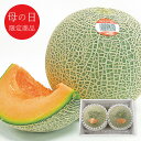 母の日 プレゼント 送料無料 メーカー直送 【母の日専用】 クインシーメロン(2玉) 代引き後払い不可品 お申込日4/27まで ギフト ギフトセット フルーツ ...