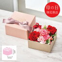 母の日 花 ギフト メーカー直送 送料無料 【母の日専用】 母の日 花 ボックスアレンジ 代引き後払い不可品 お申込日5/13まで アレンジ フラワーアレンジ ...