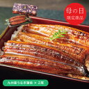 母の日 プレゼント 送料無料 メーカー直送 【母の日専用】 大森淡水 国産うなぎ蒲焼(長焼2尾) 代引き後払い不可品 お申込日5/18まで ギフト ギフトセット...