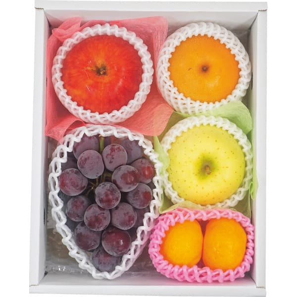 送料無料 メーカー直送 旬を味わうフルーツ詰め合わせ 代引き後払い対応不可品 内祝い お返し 出産内祝い 結婚内祝い 入学内祝い 成人内祝い 香典返し