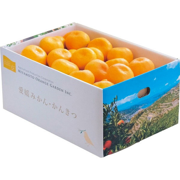 お歳暮 フルーツ 送料無料 メーカー直送 愛媛県西宇和産 温州みかん(5kg) 代引き後払い対応不可品 御歳暮 御挨拶 ご挨拶 ごあいさつ 御礼 お礼 冬ギフト 冬 ギフト 寒中見舞い お年賀 御年賀