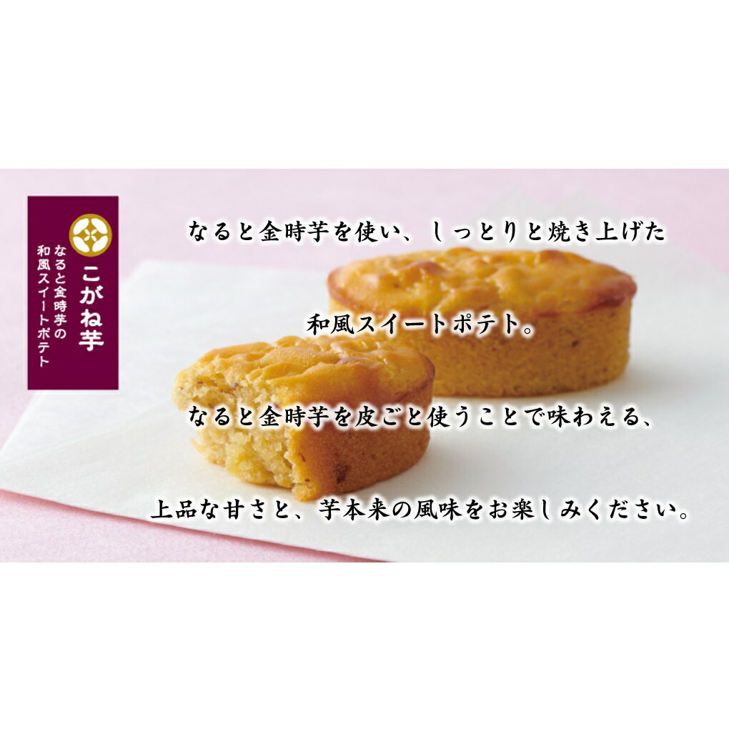 ������̵�� �����������졦Υ�������Hitotoe �����Ͱ� �������ȥݥƥ� 10�� KGB-10 �ۻ��ޤ� ��ˤ� ���֤� �л���ˤ� �뺧��ˤ� �����ˤ� ������ˤ� ��ˤ� ˡ�� ��ŵ�֤� ���������Τ����� ��å�����������̵��