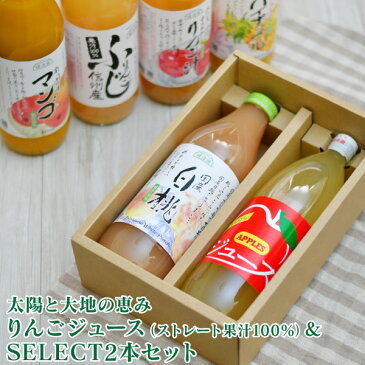 【内祝い 防災 お返し 等に!】【送料無料、沖縄・離島を除く】飛騨高山の恵み りんごジュース(ストレート果汁100%)&SELECT2本セット<※【内祝・出産内祝い 出産祝い・ギフトセット・結婚内祝い・快気祝い ジュース 100% 果実ジュース メッセージ】 【写真】>