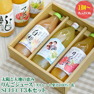 【内祝い 防災 お返し 等に】【送料無料】【名入れ 1個より】飛騨高山の恵み りんごジュース(ストレート果汁100%)&SELECT3本セット<※【内祝い・防災・出産内祝い・ギフトセット・結婚内祝い・ジュース 100% 七五三】>【オリジナルギフト】【かわいい】