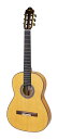 【送料込】ESTEVE GIPSY KINGS by Andre Reyes GOLD アンドレ・レイエス/ジプシー キングス シグネチャー フラメンコギター クラシックギター André【ポイント5倍】
