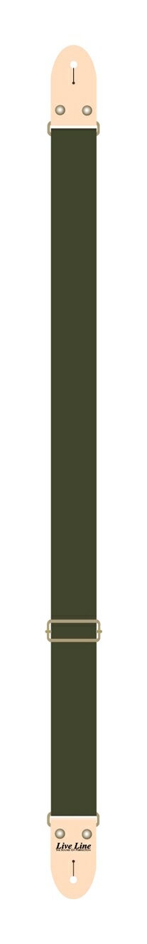 ڥ᡼ء̵ԲġLive Line LS2000CMG ⥹꡼  ȥå