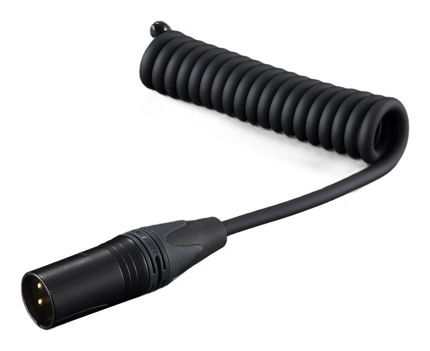 【送料込】 aet EVO-NE0510NI-XM/XLRオス端子 ノイズイジェクター アンプの空き端子からノイズを放電し音質アップ