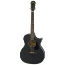 【送料込】【ケース付】ARIA アリア Aria-101CE/MTBK Black マット塗装 エレアコ【ポイント5倍】