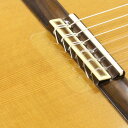 【ポイント2倍】【メール便・送料無料・代引不可】Rosette ロゼット TG417 Tie Guard 保護フィルム