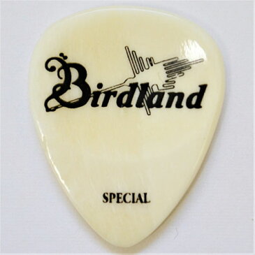 【メール便・送料無料・代引不可】Birdland バードランド Buffalo Special Pick Bone ギター ピック 133-06-001【smtb-TK】