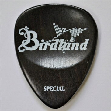 【メール便・送料無料・代引不可】Birdland バードランド Ebony Special Pick ギター ピック 133-09-009【smtb-TK】