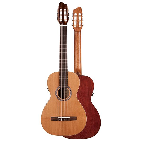 【ポイント5倍】【送料込】Godin guitars Nylon Motif QIT エレガット