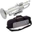 【送料込】pinstruments pTrumpet hyTech/Sliver プラスチック製 B♭トランペット PTRUMPET1HTS 【smtb-TK】