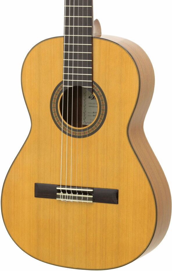 【ポイント10倍】【送料込】【ケース付】ARIA アリア ACE-5C 610 Cedar スモールサ...
