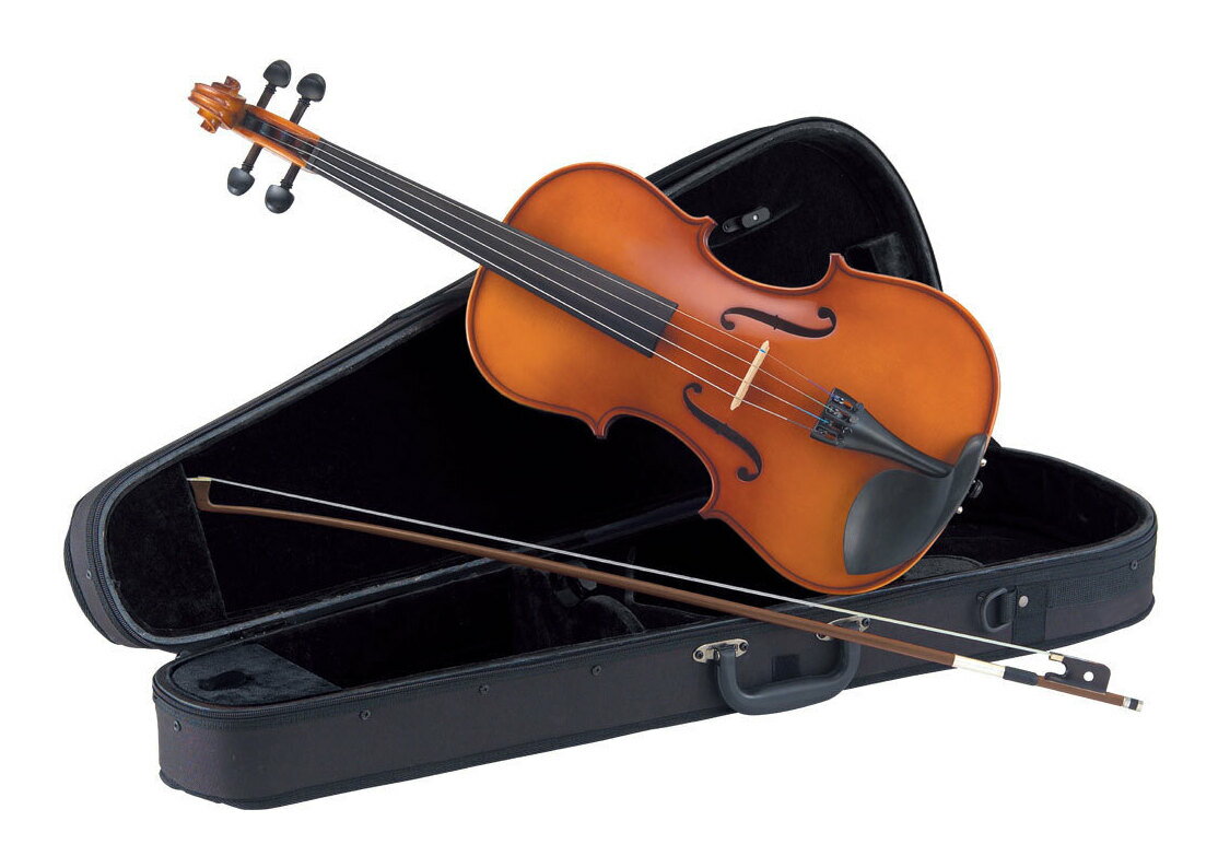 【送料込】Carlo giordano ビオラ VL-1【ポイント20倍】