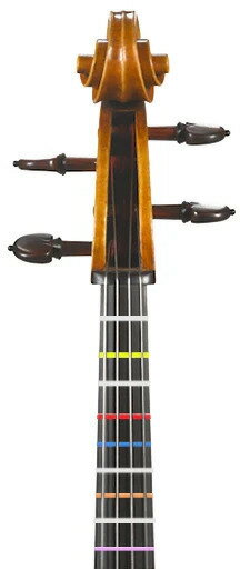 �ڥ᡼���ء�����̵��������Բġ�Don��t Fret ������ 1/2������ �� (585mm) �����ե�å� ������ �ɥ�ȥե�å�