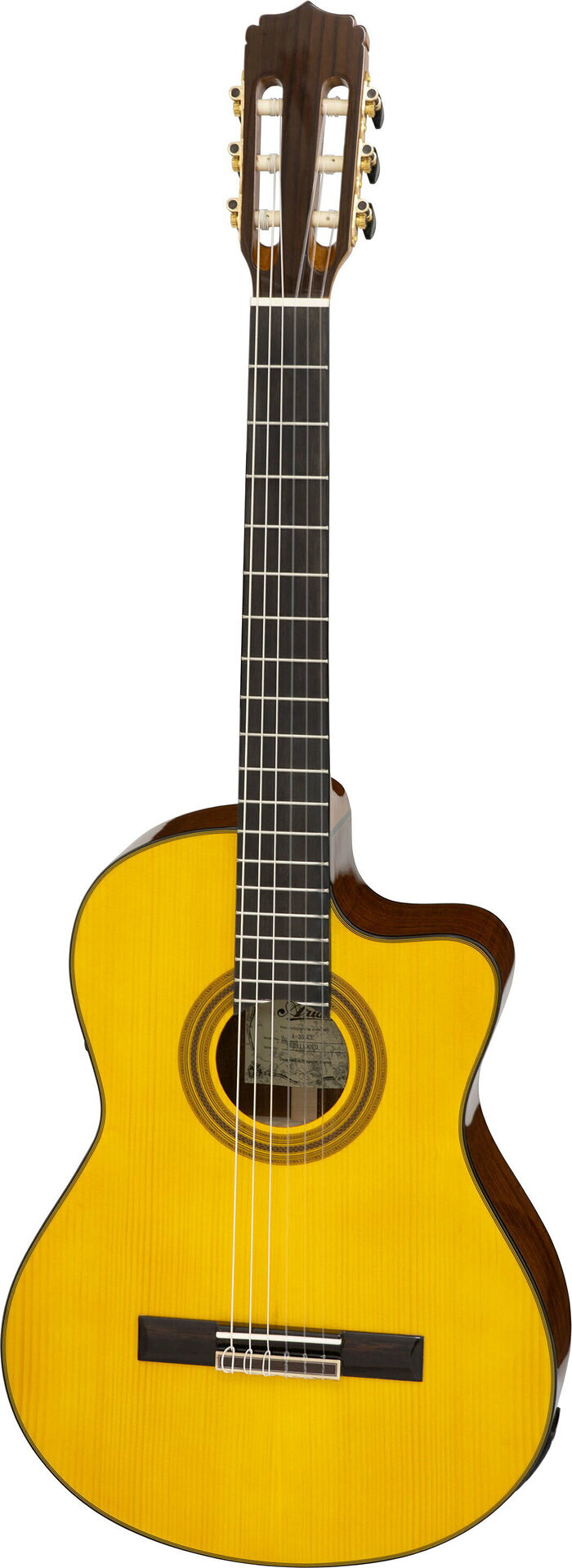 【送料込】Aria A-35SCE/ケース+スペア弦+クロス付 ピックアップ搭載 エレクトリッ...