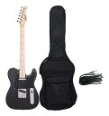【送料込】Legend LTE-Z M GLBK (Glitter Black) エレキギター テレキャスター タイプ/限定カラー/ケース付