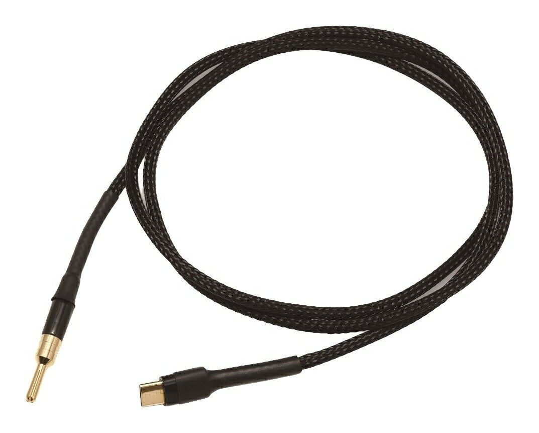 【送料込】SAEC SE400C-B アースケーブル 1.2m USB-Cプラグ-バナナプラグ