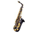 【メーカー3年サポート】【送料込】J.Michael/Jマイケル AL-900B 入門9点セット アルトサックス (ブラック)【ポイント12倍】