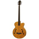 【送料込】ARIA FEB-F2/FL STBR(Stained Brown) エレクトリック アコ ...